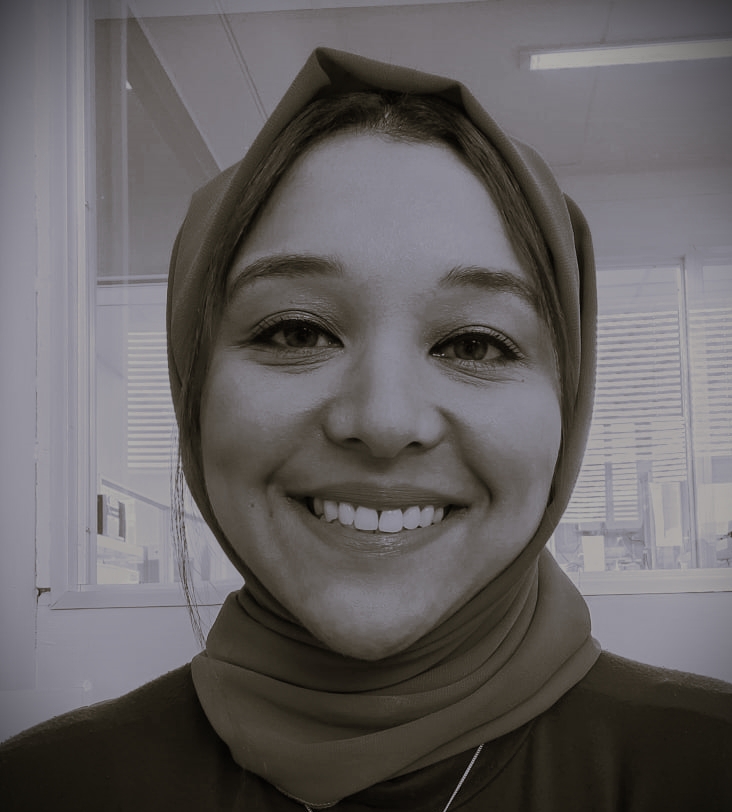 Team Member