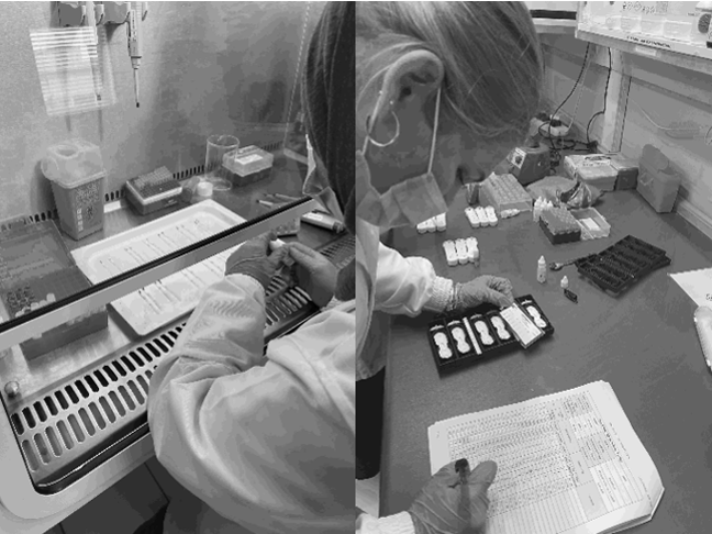Assay Development
