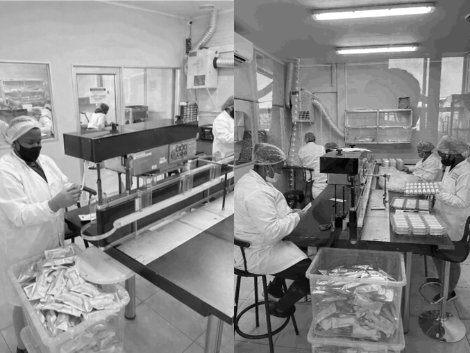 Assembly and Packaging